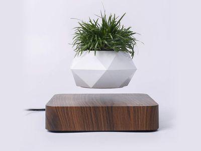 A Magnetic Floating Bonsai Flower Pot Micro Landscape Design for Home Office Decoration